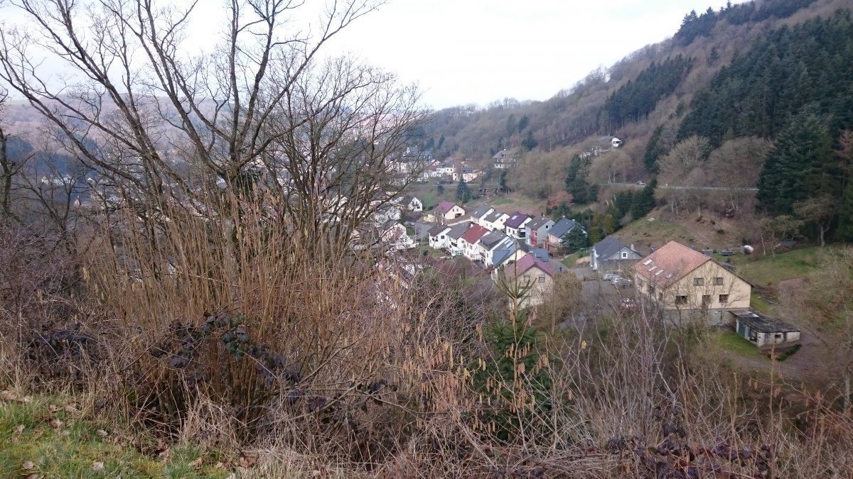 DSC_0133.JPG