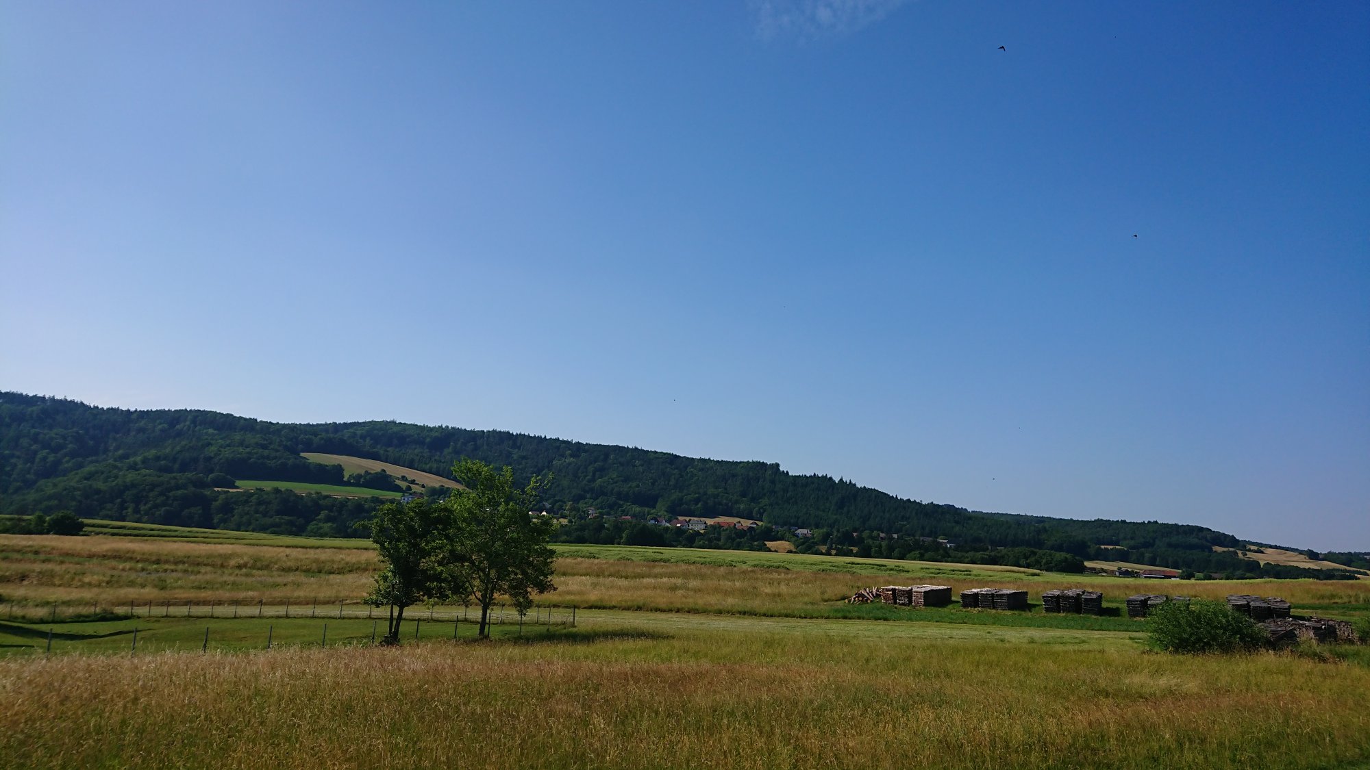 DSC_0149.JPG
