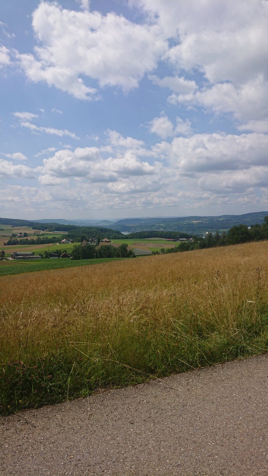 DSC_0168.JPG