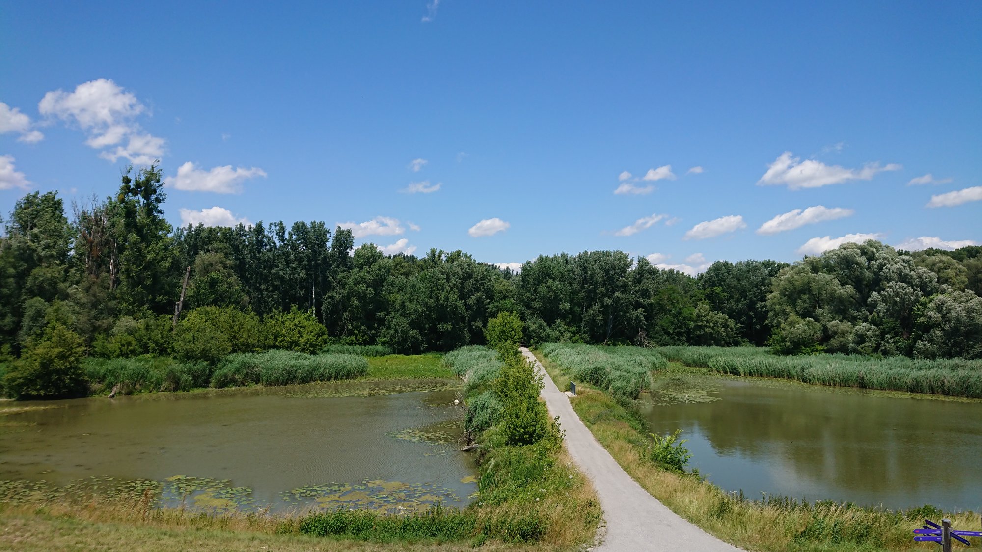 DSC_0169.JPG