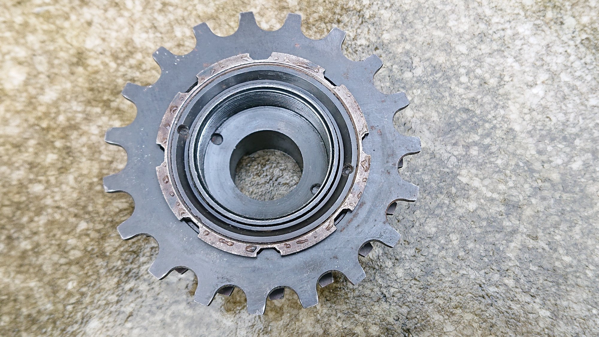 DSC_0172.JPG
