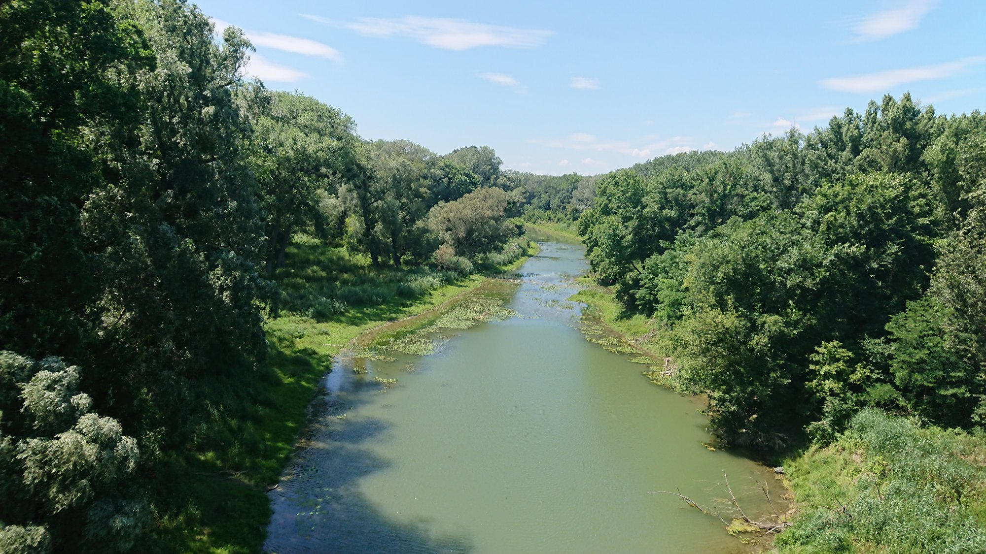 DSC_0175.JPG