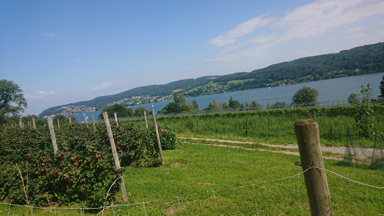 DSC_0176.JPG