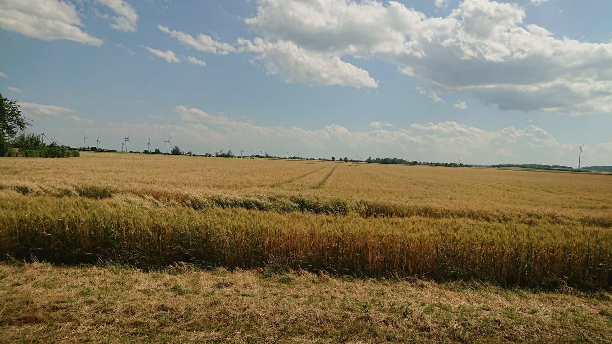 DSC_0180.JPG