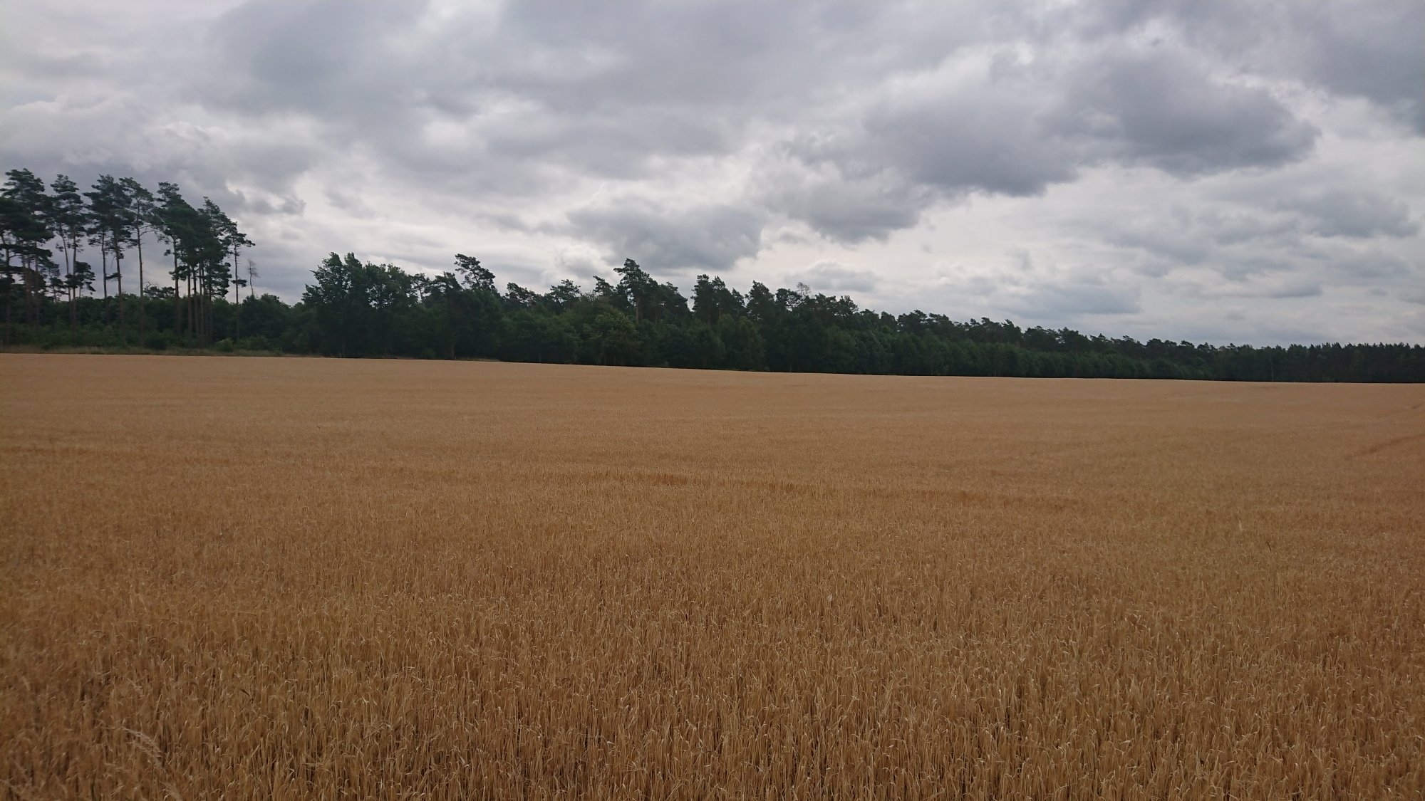 DSC_0191.JPG