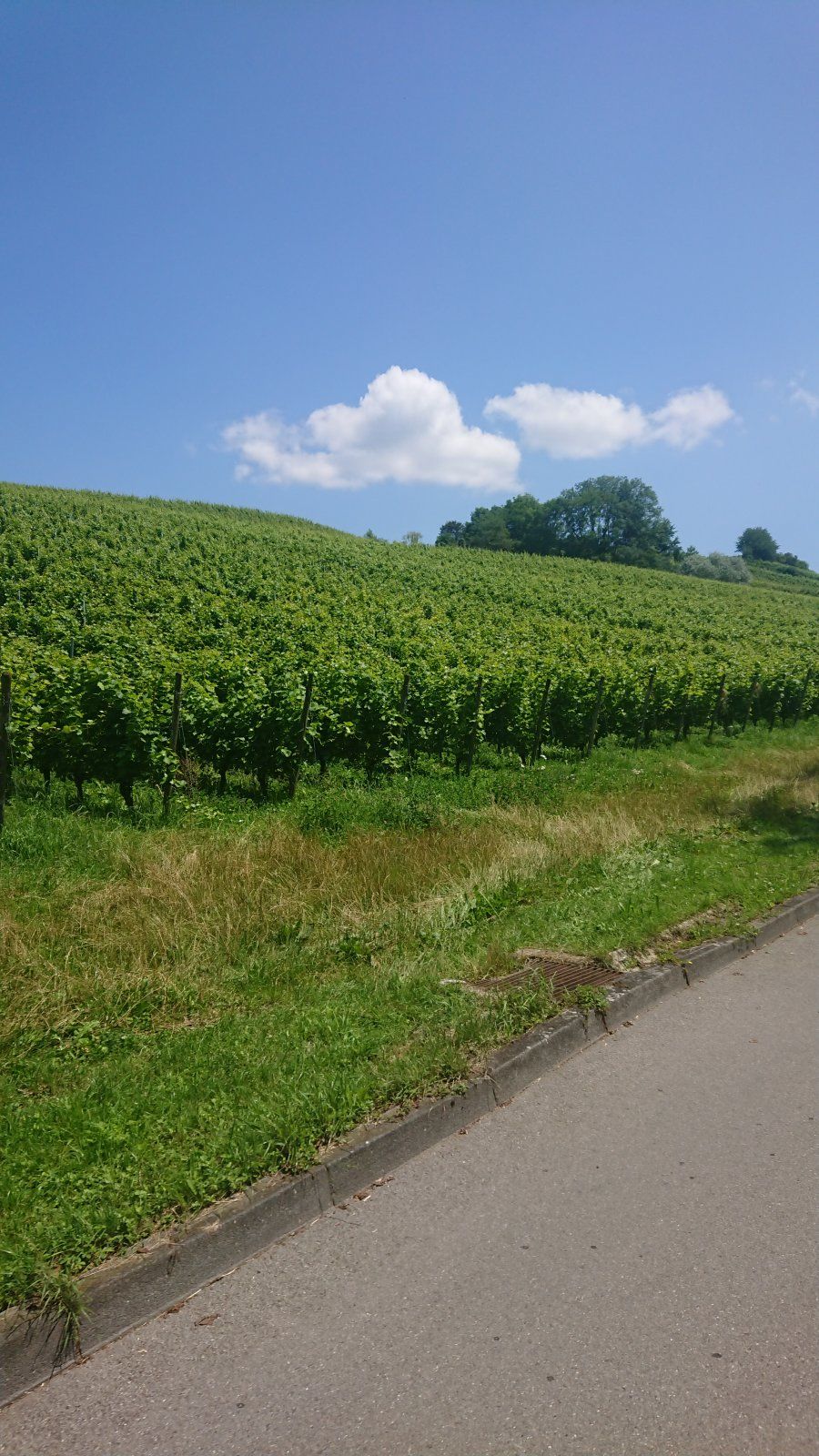 DSC_0191.JPG