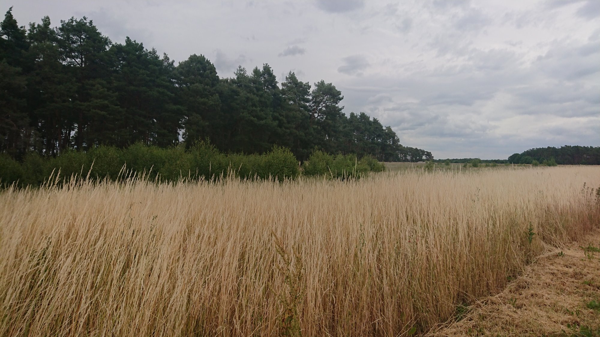 DSC_0199.JPG