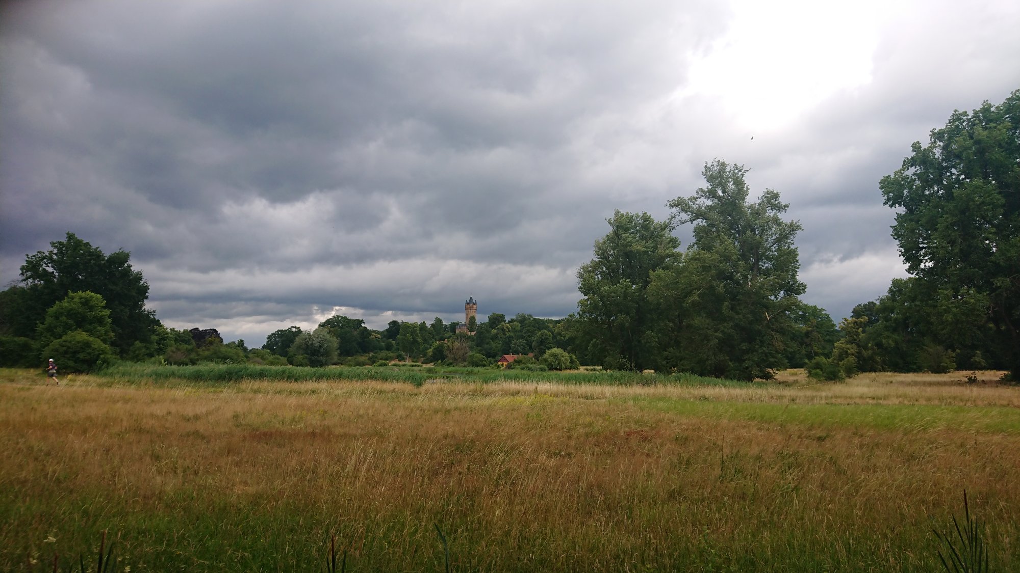 DSC_0211.JPG