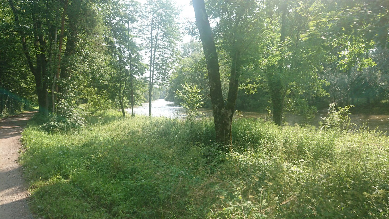 DSC_0219.JPG