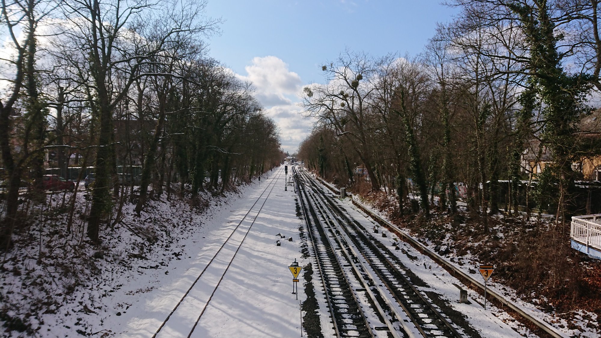 DSC_0234.JPG