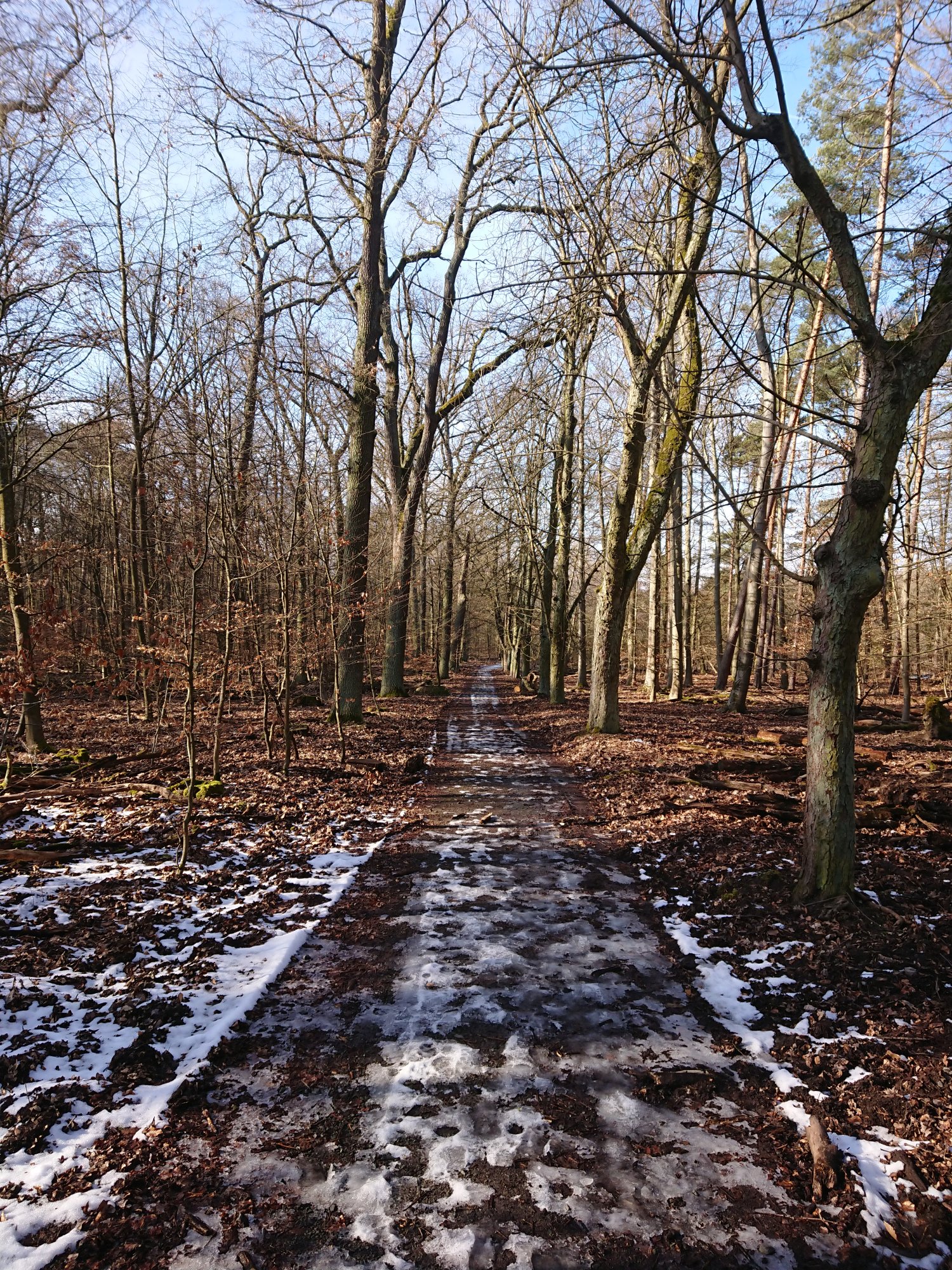 DSC_0242.JPG