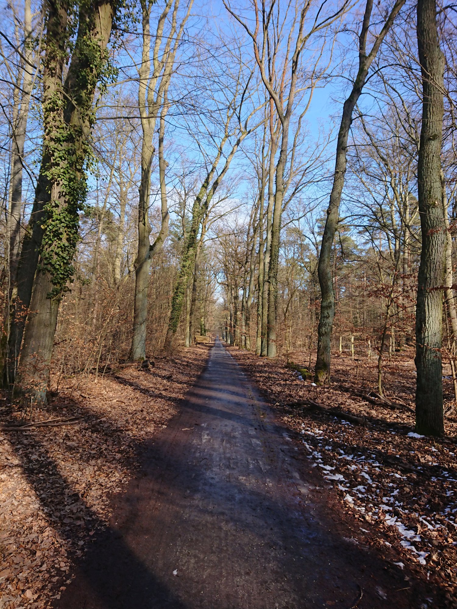 DSC_0245.JPG