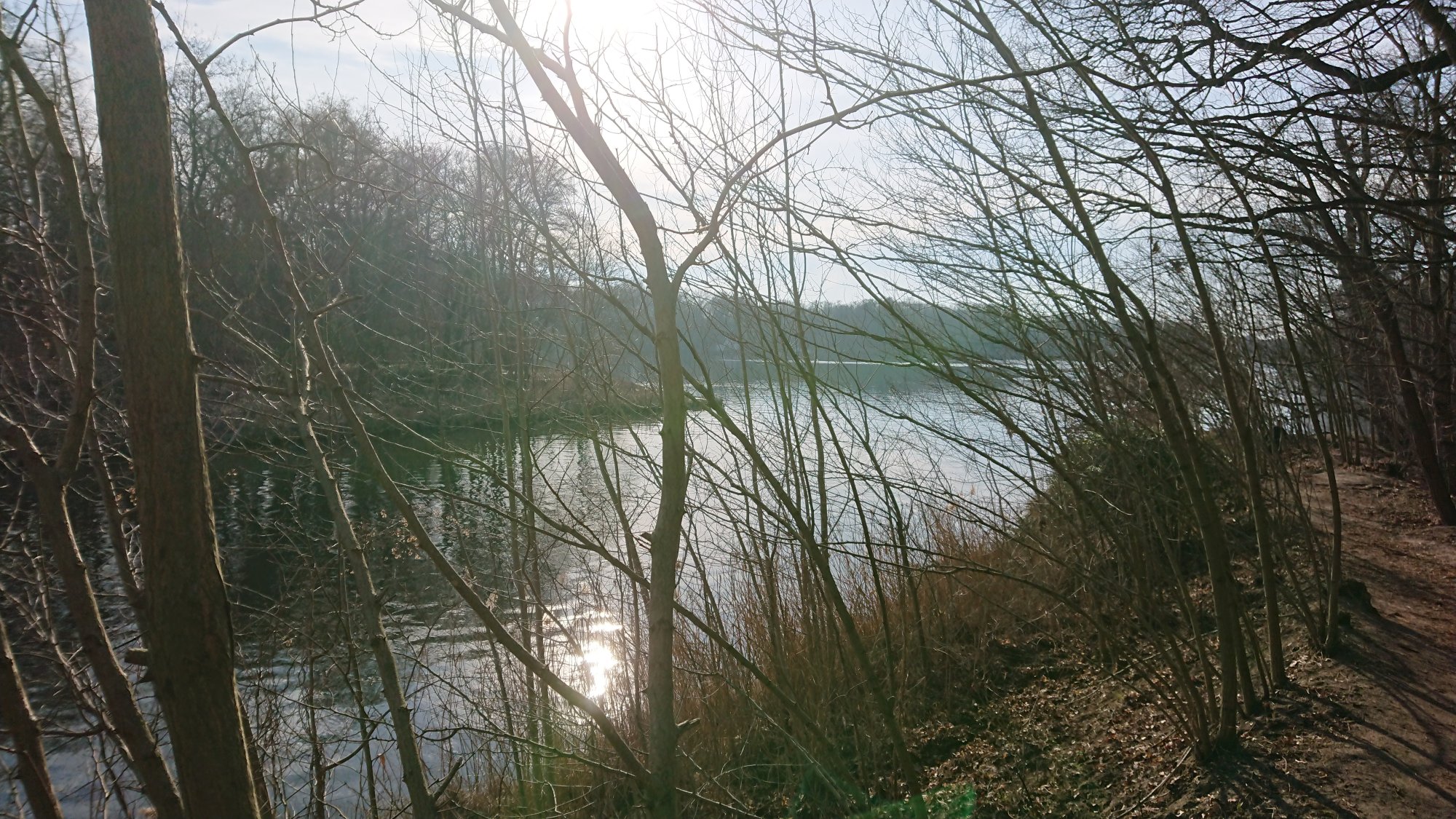 DSC_0248.JPG