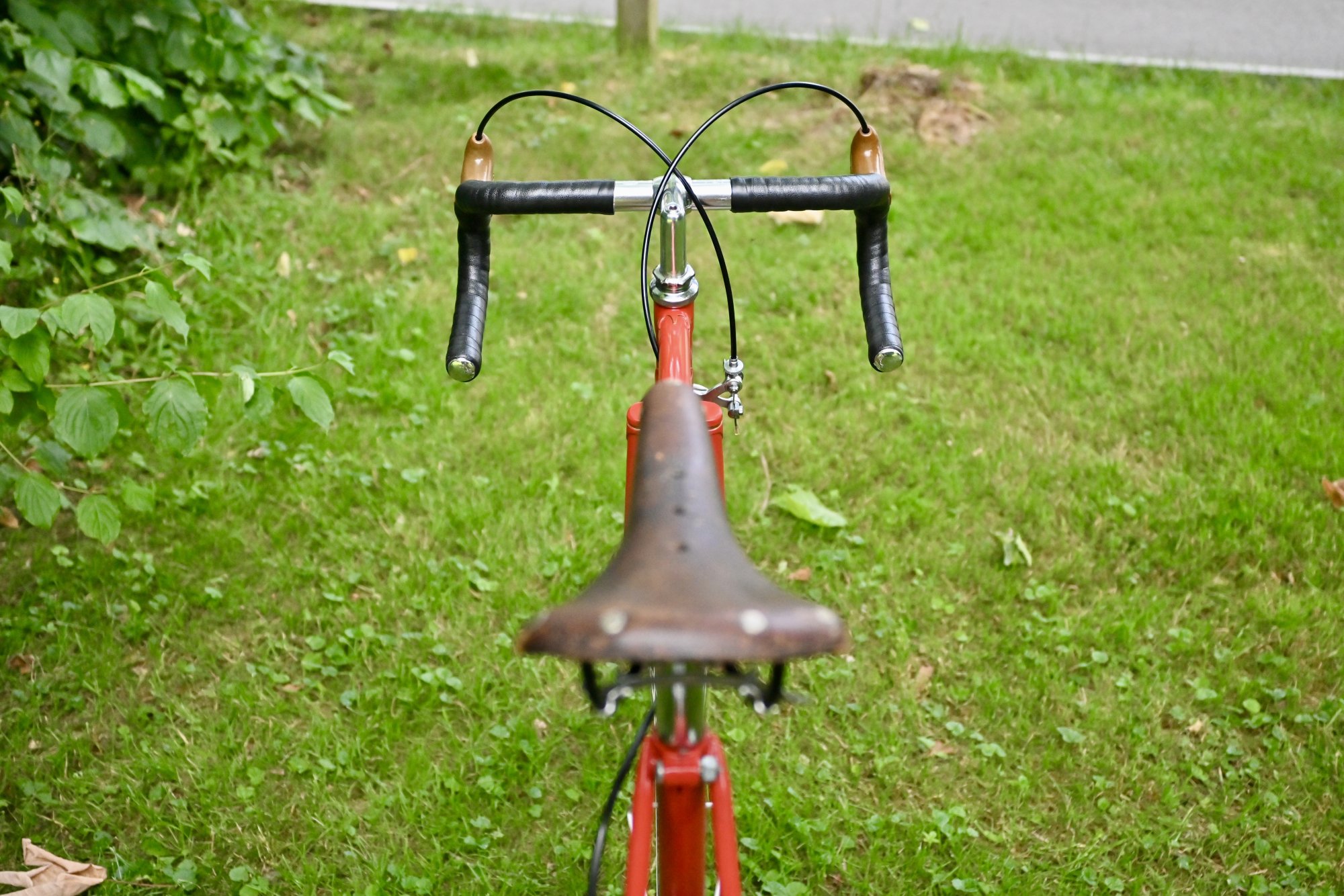 DSC_0264.JPEG