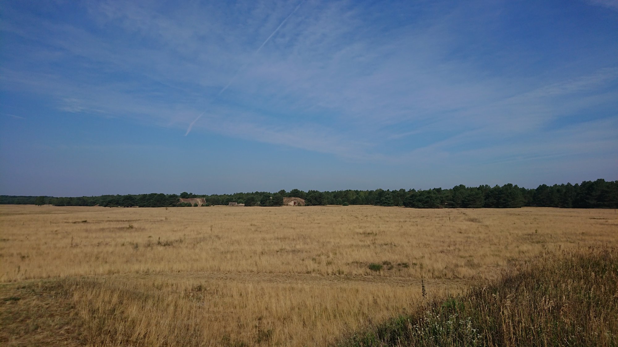 DSC_0265.JPG