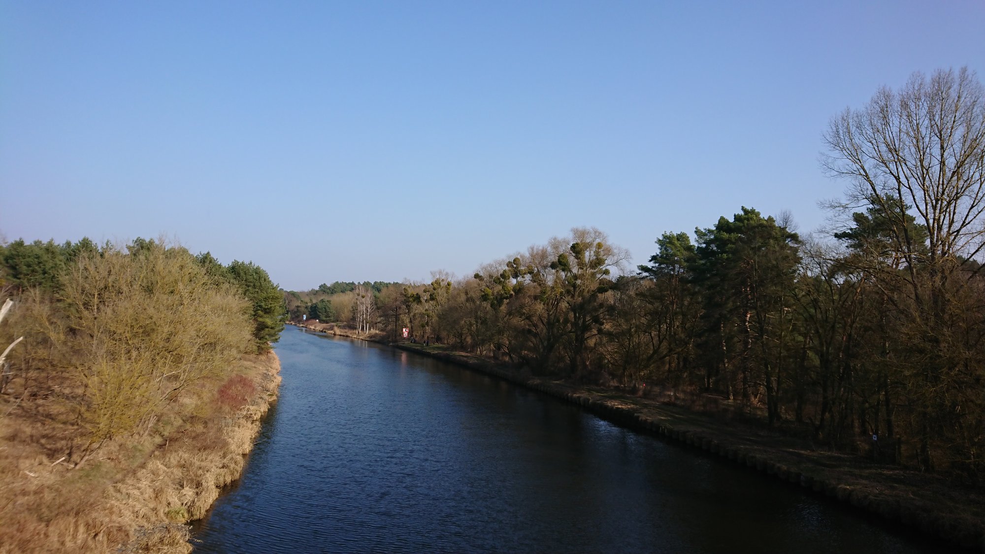 DSC_0266.JPG