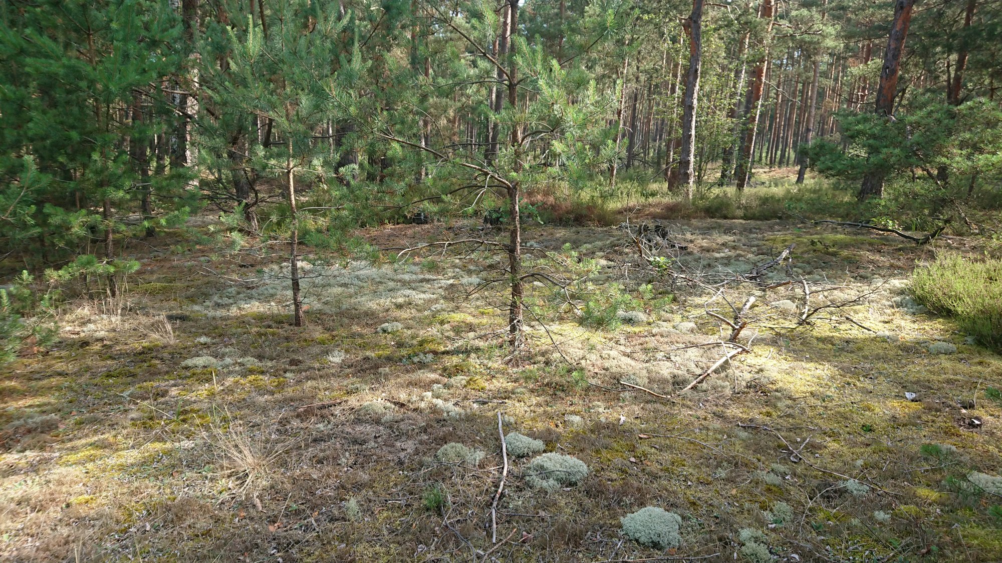 DSC_0276.JPG