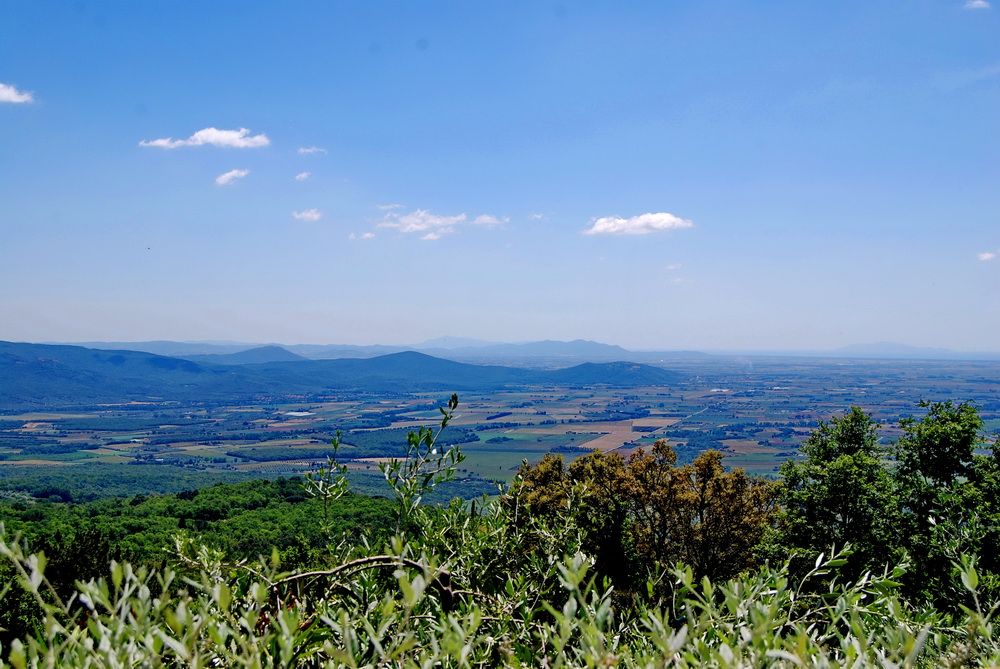 DSC_0277.JPG