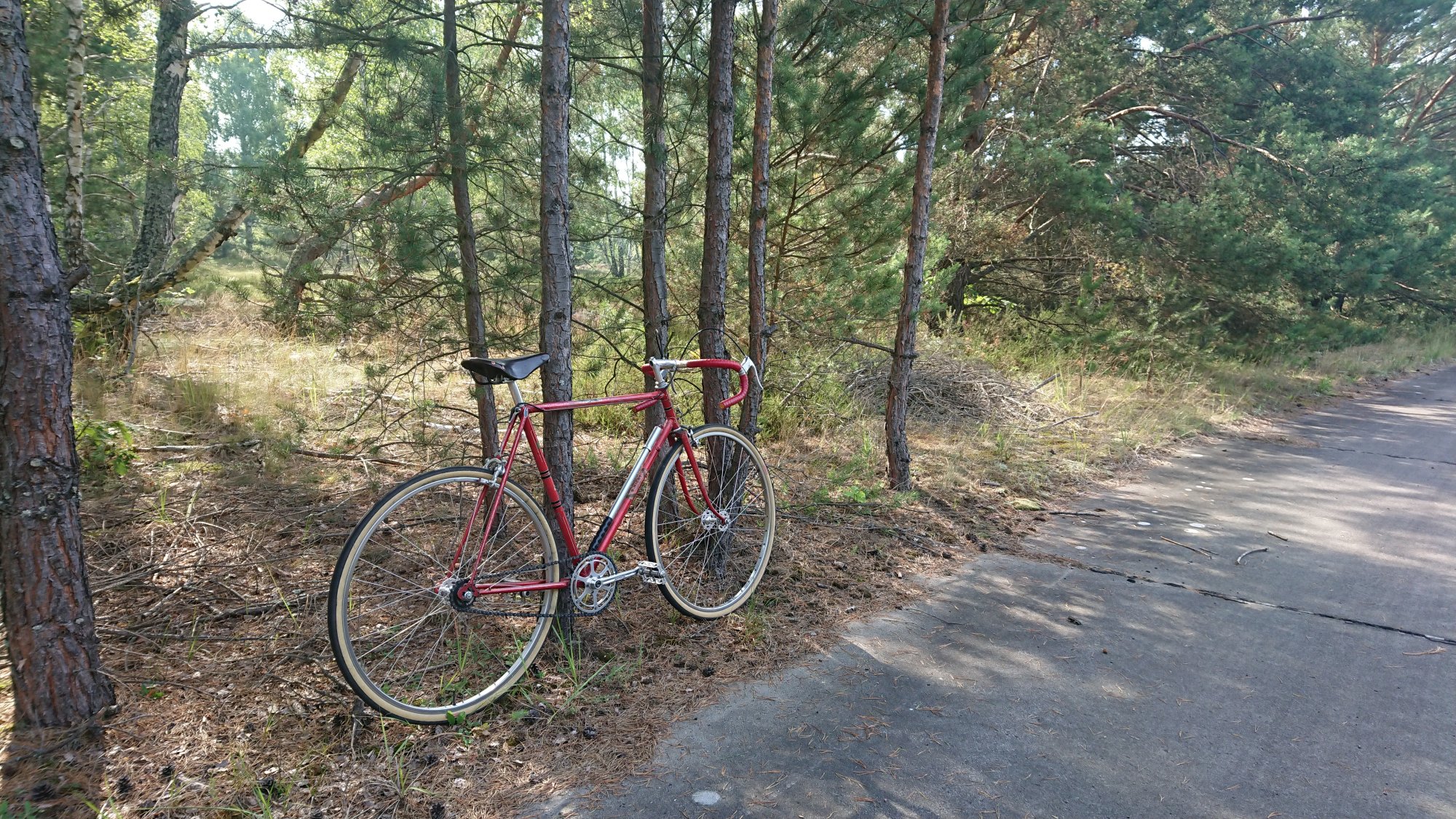 DSC_0278.JPG