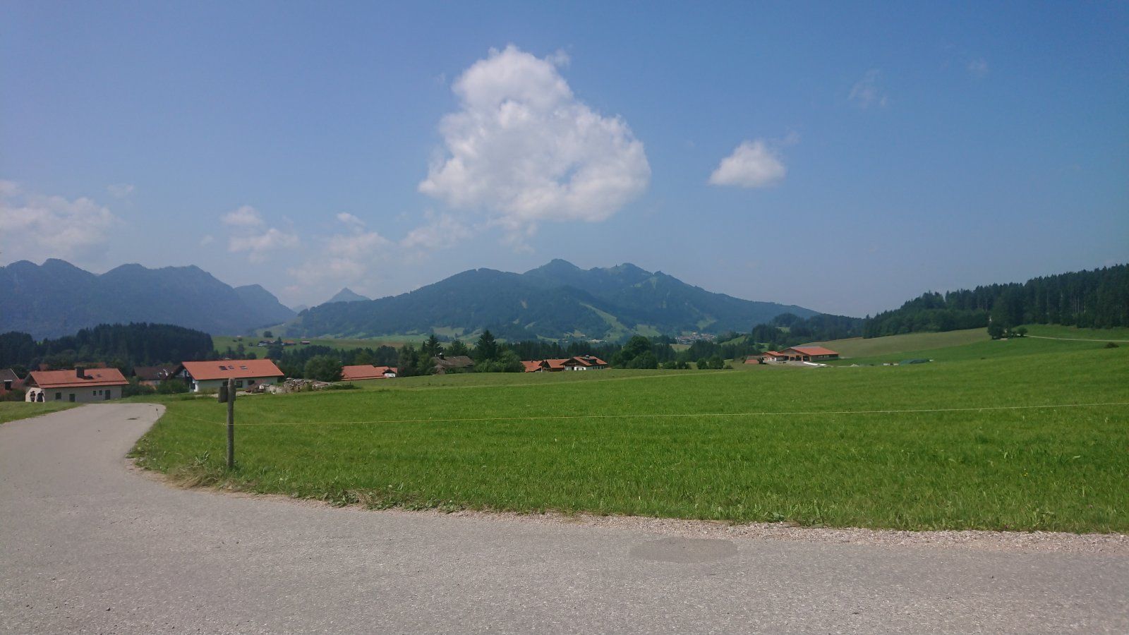 DSC_0278.JPG