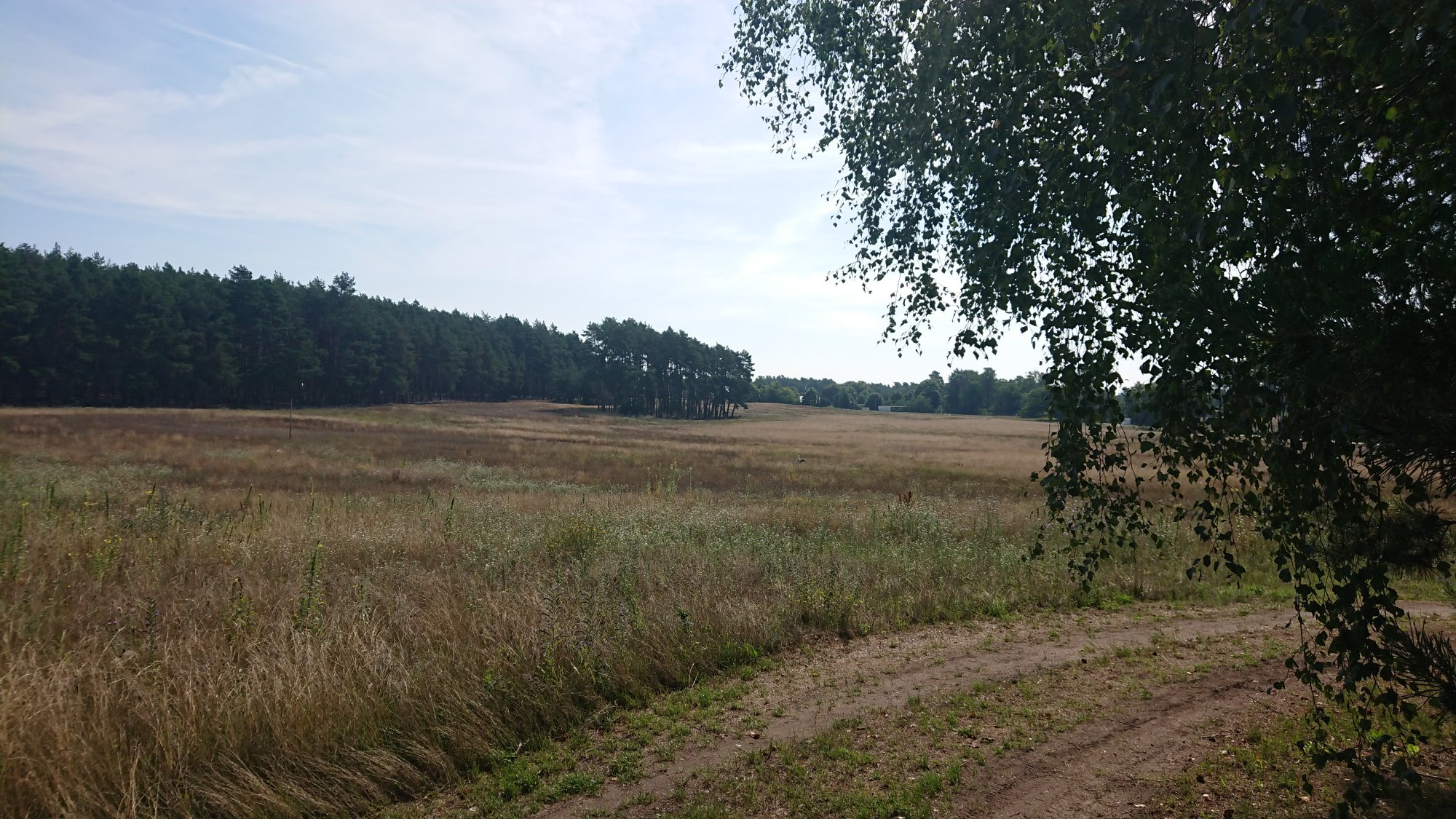 DSC_0281.JPG