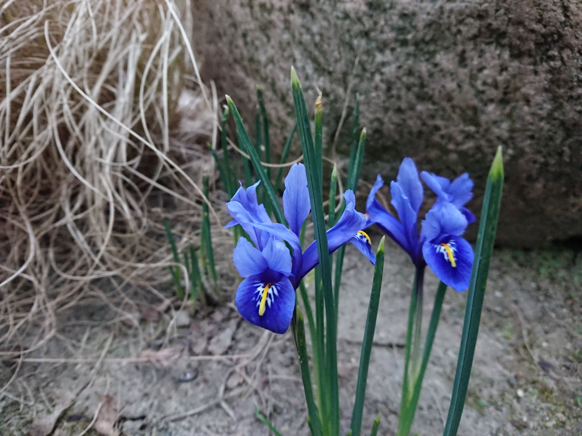 DSC_0284.JPG