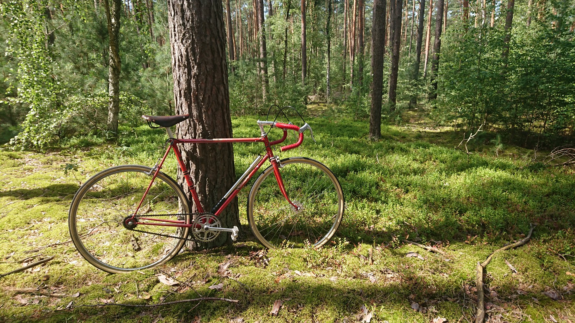 DSC_0298.JPG