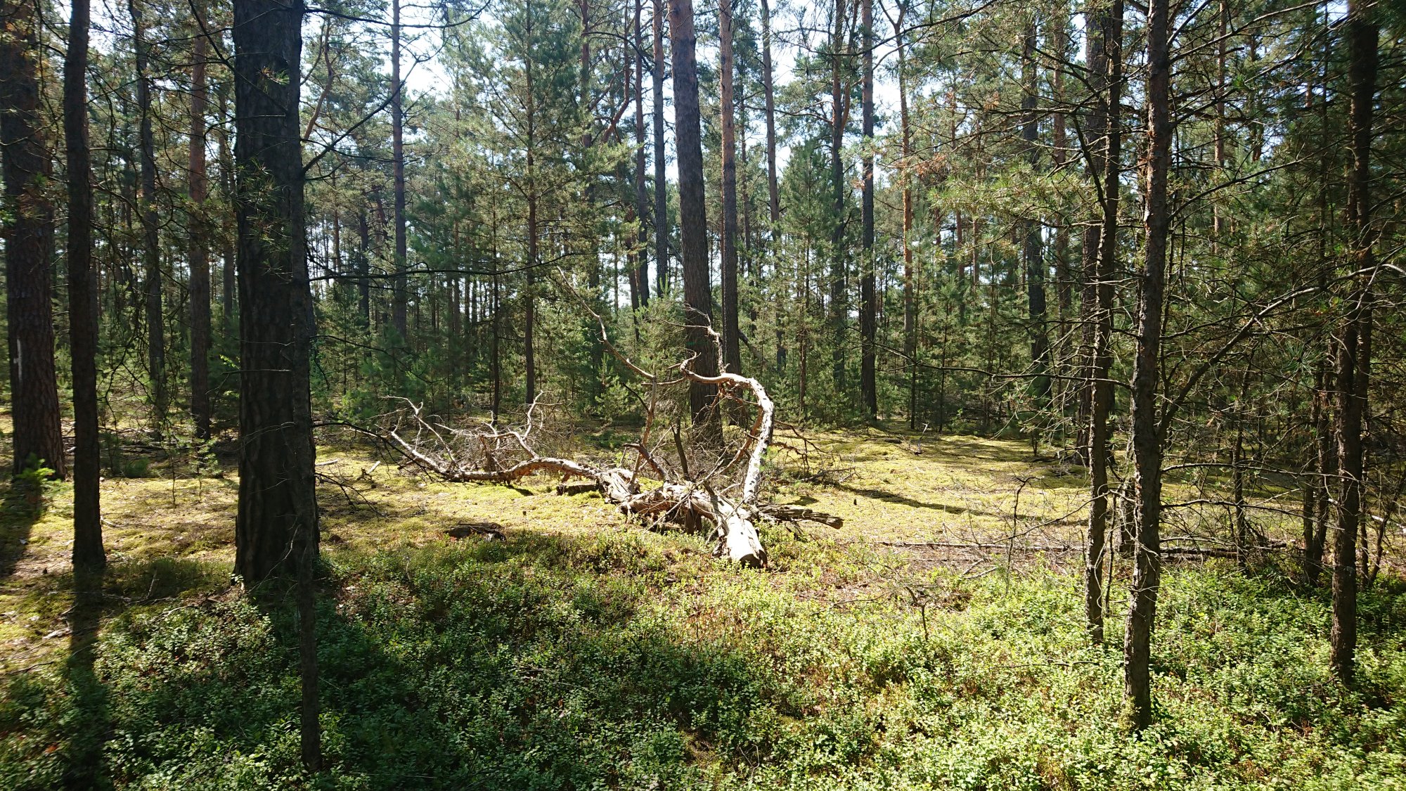 DSC_0304.JPG
