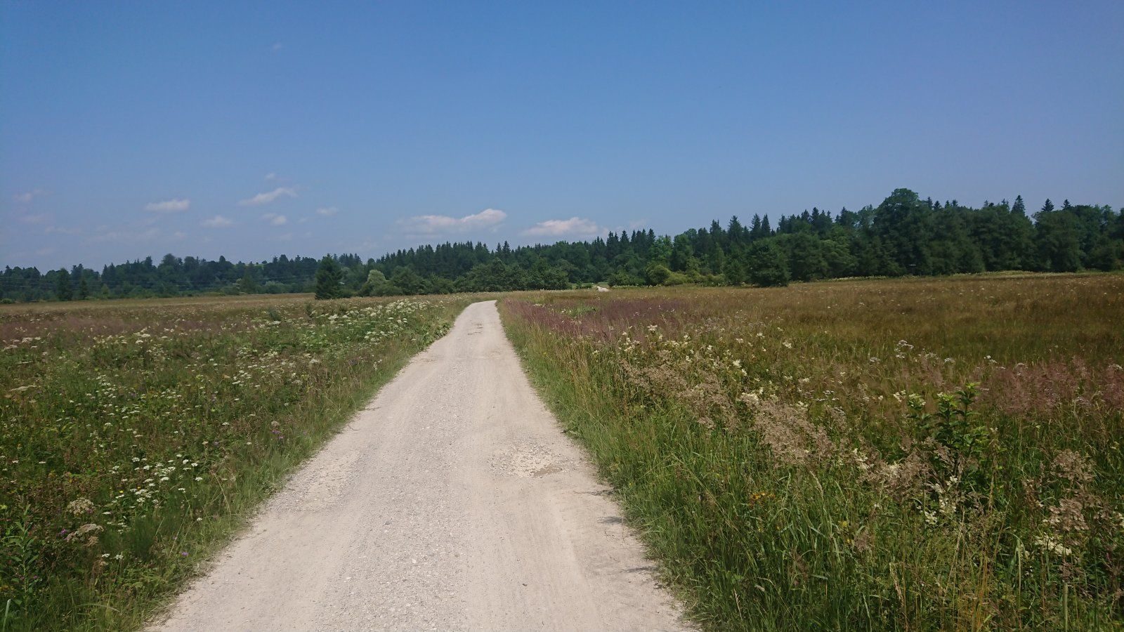 DSC_0304.JPG