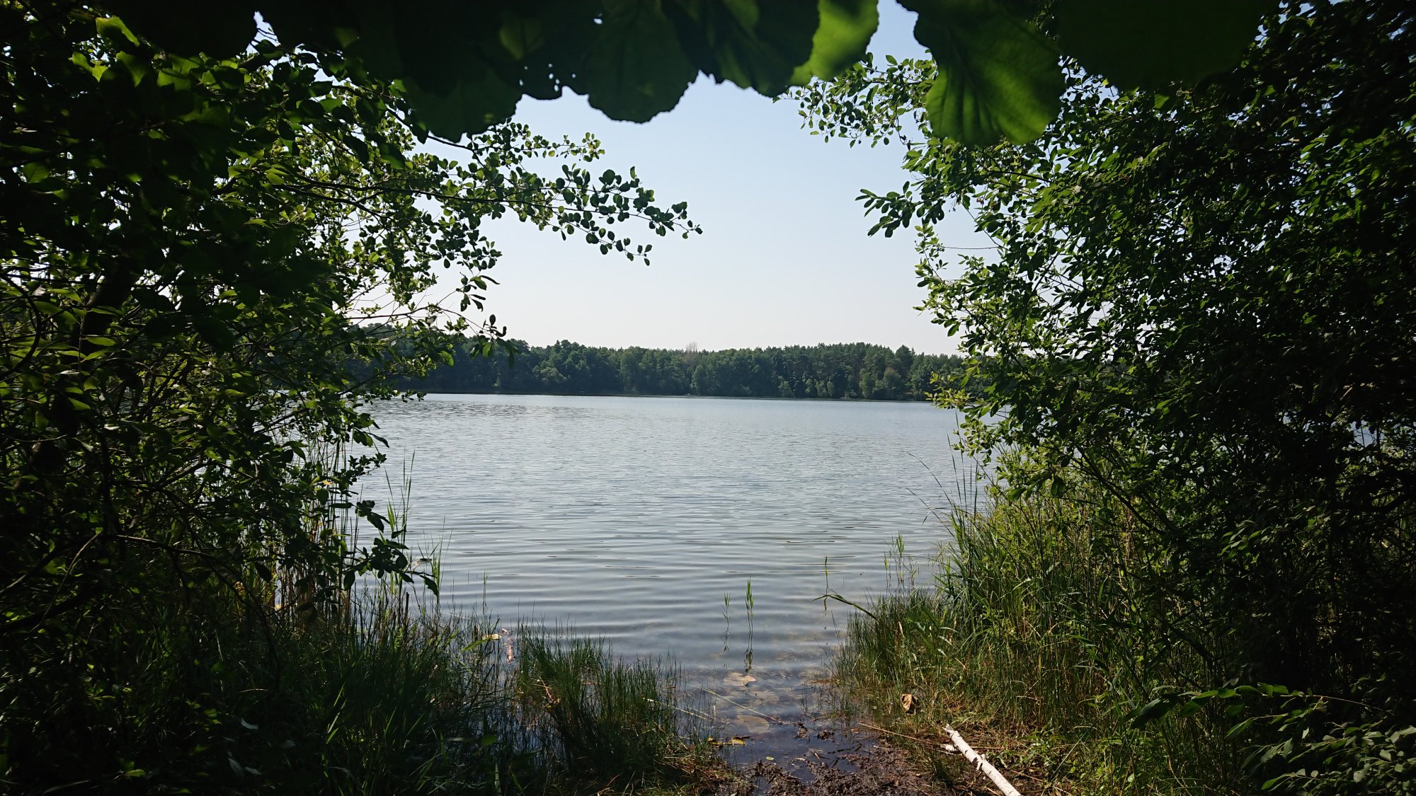 DSC_0305.JPG