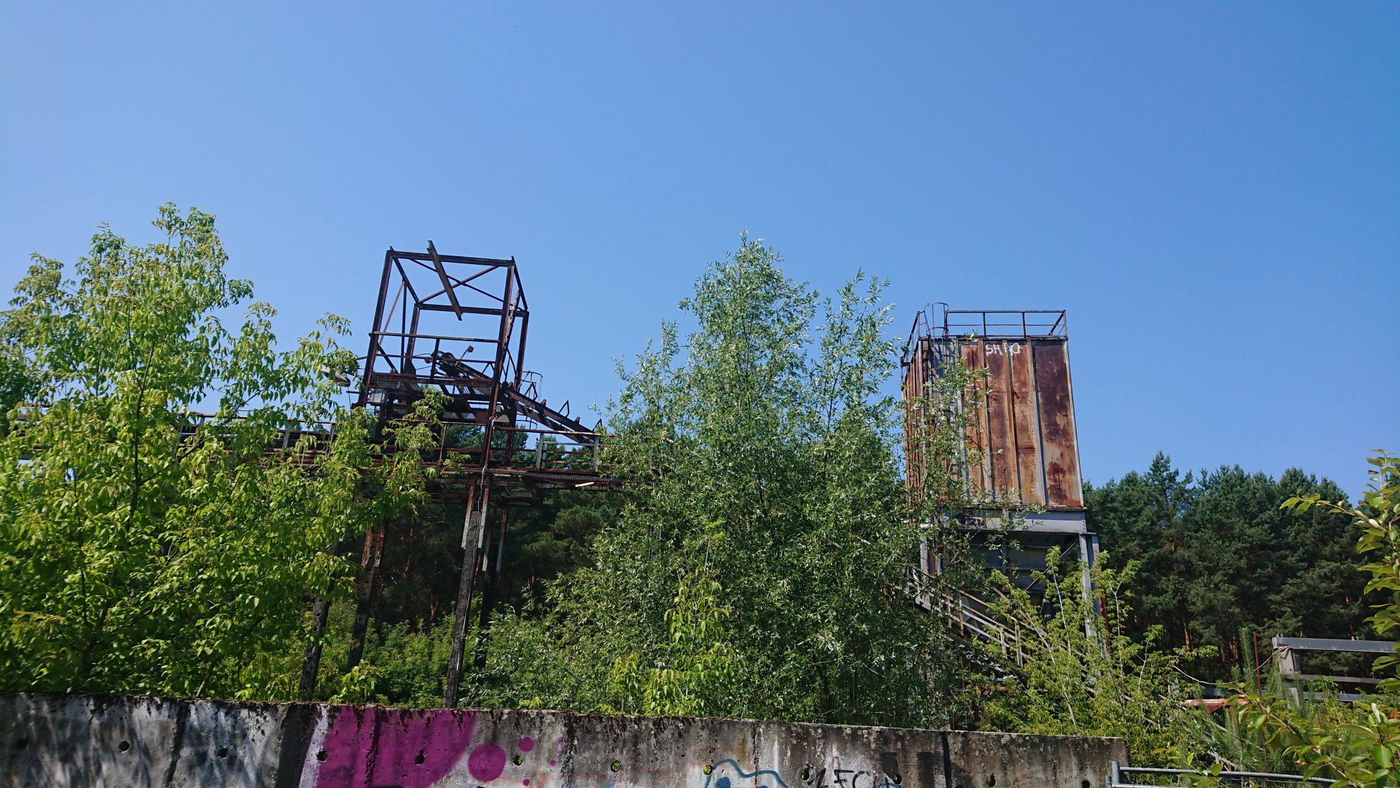 DSC_0306.JPG