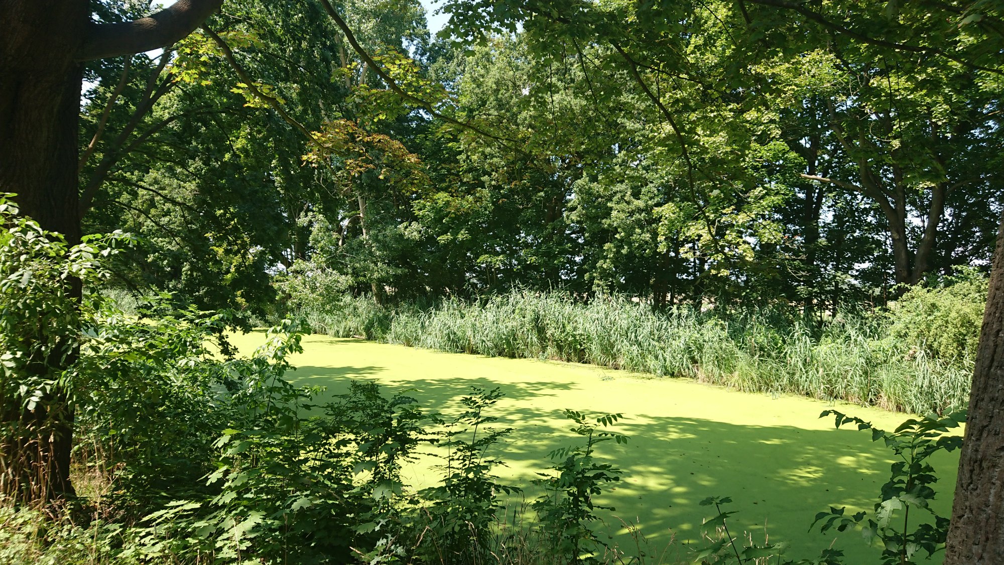 DSC_0313.JPG