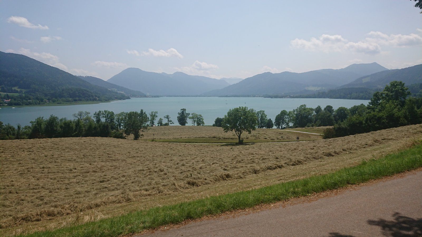 DSC_0313.JPG