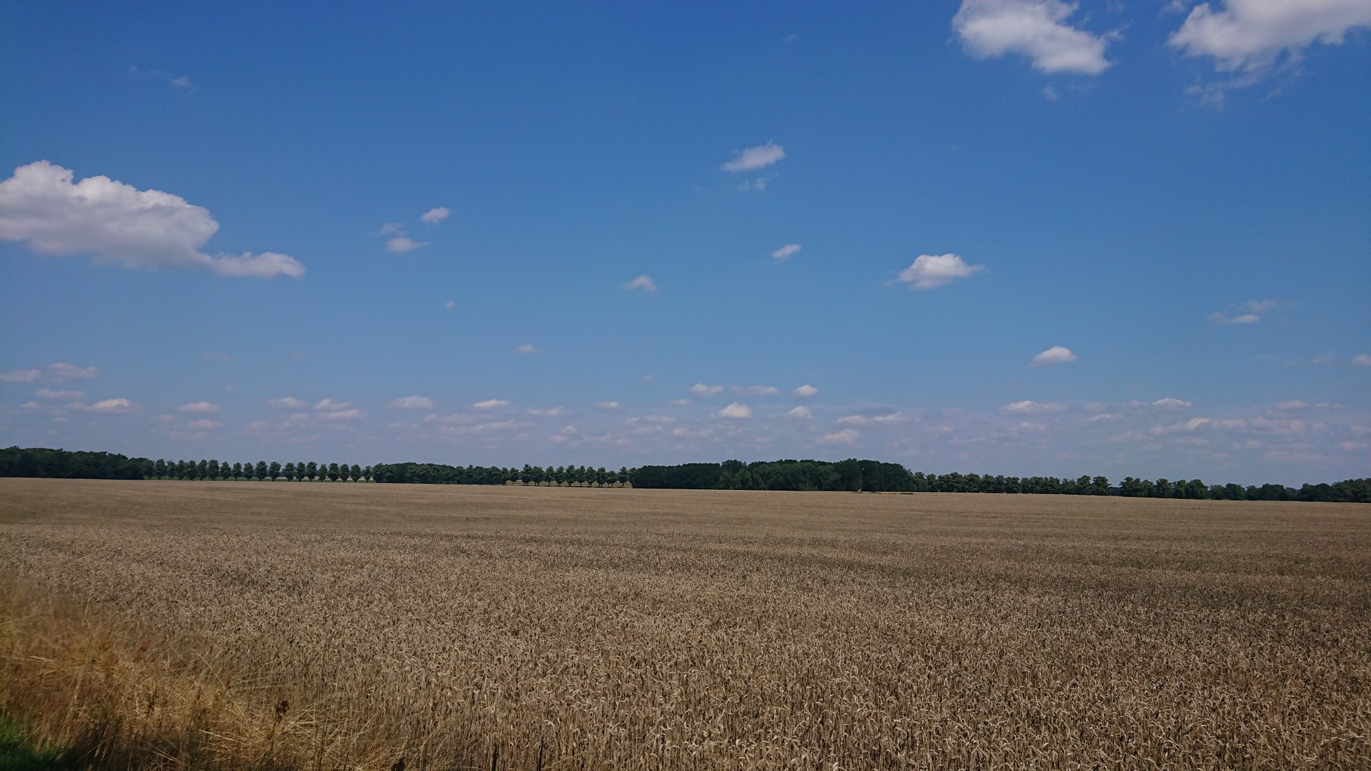 DSC_0316.JPG