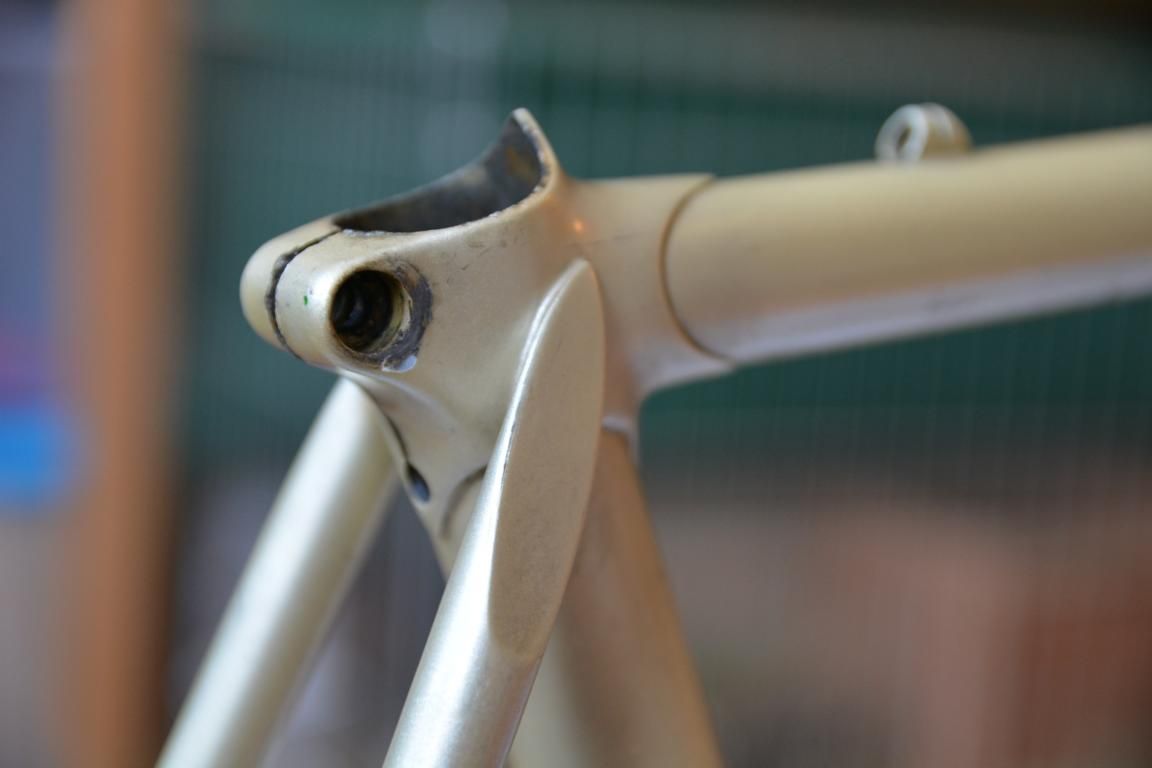 DSC_0317.JPG