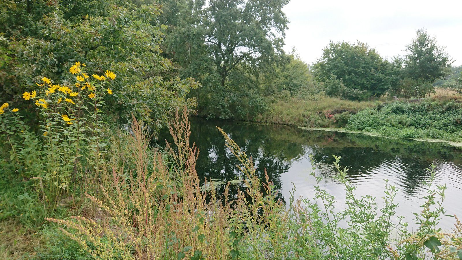 DSC_0321.JPG