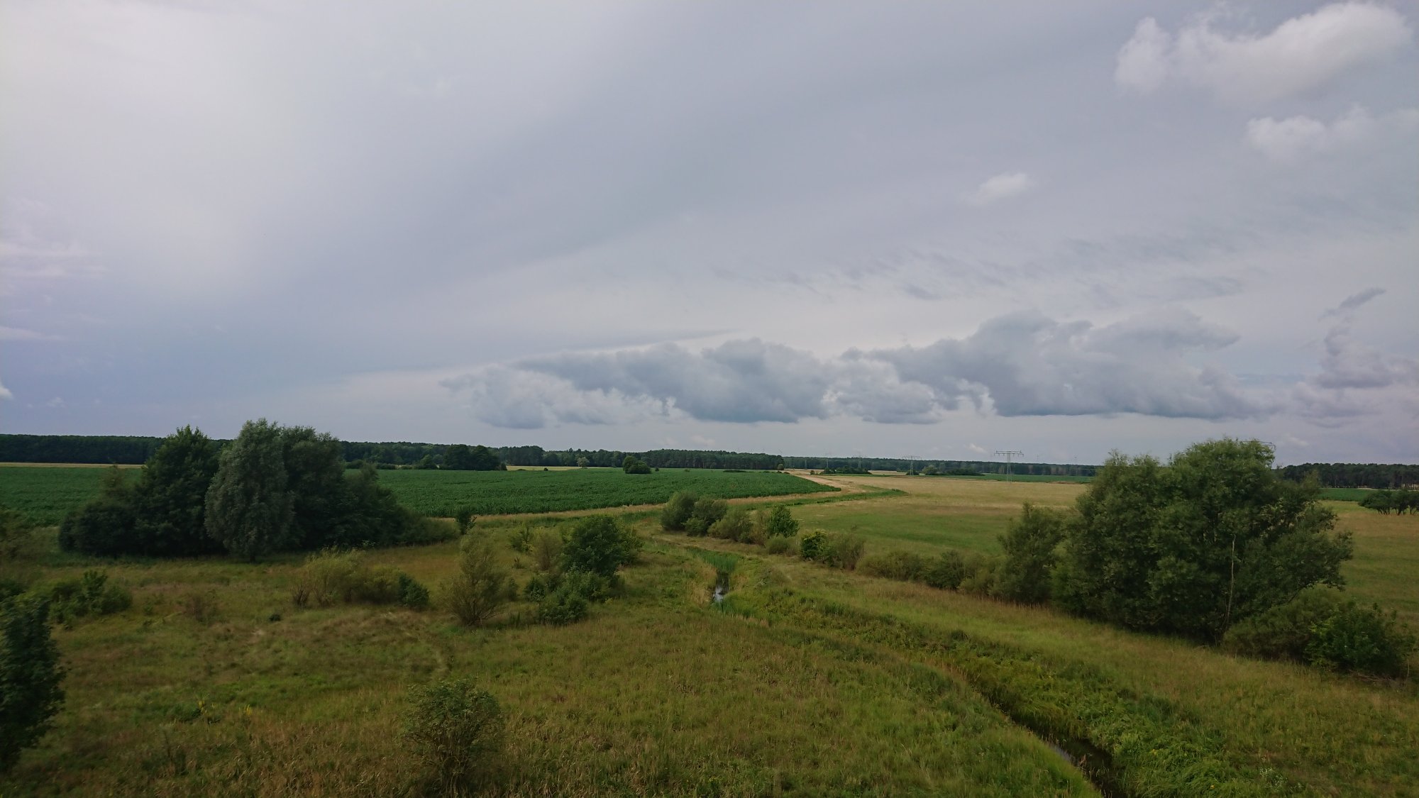 DSC_0321.JPG