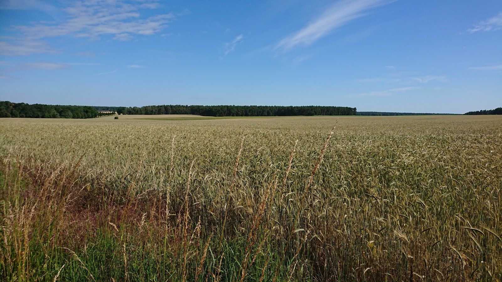 DSC_0322.JPG