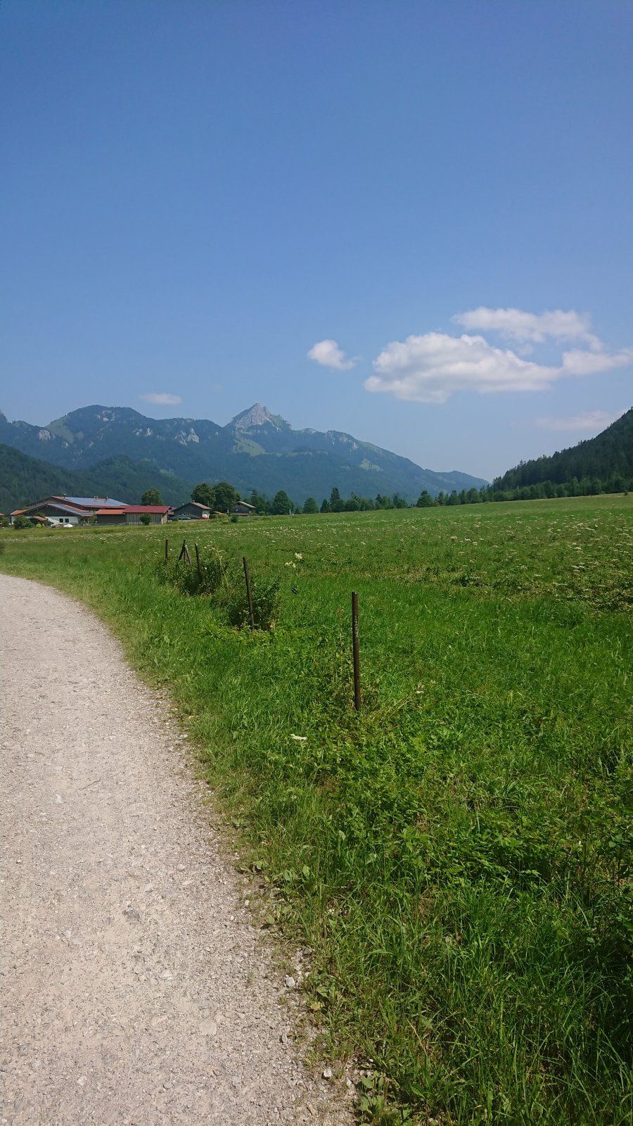 DSC_0324.JPG