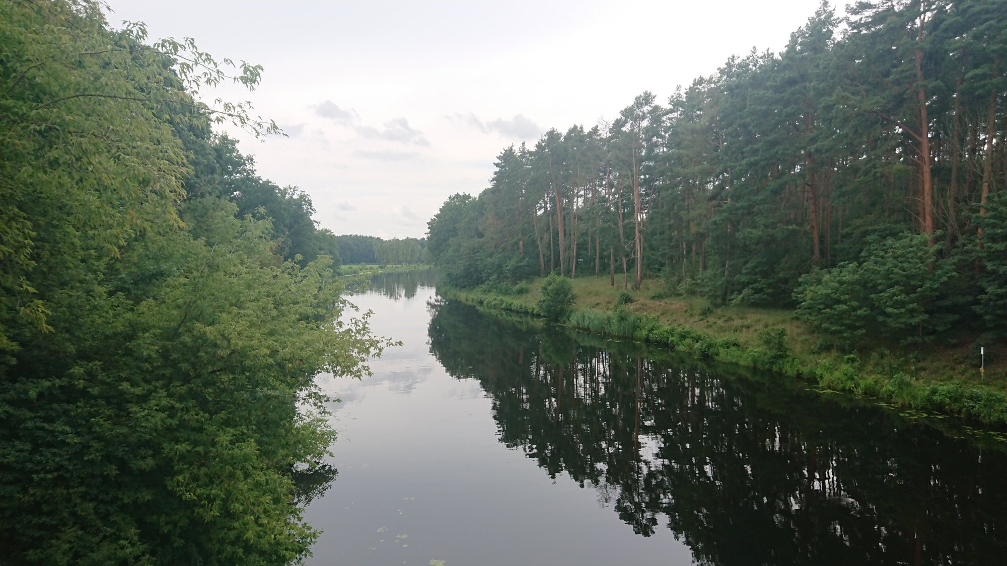 DSC_0334.JPG