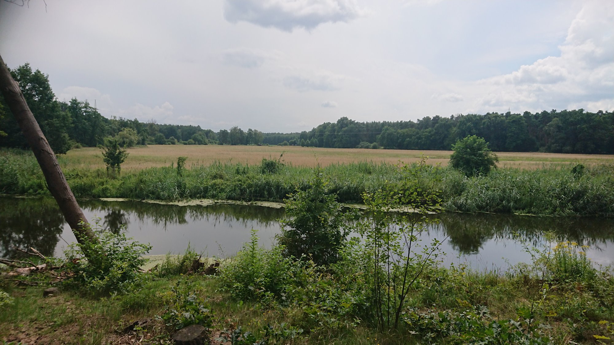 DSC_0335.JPG
