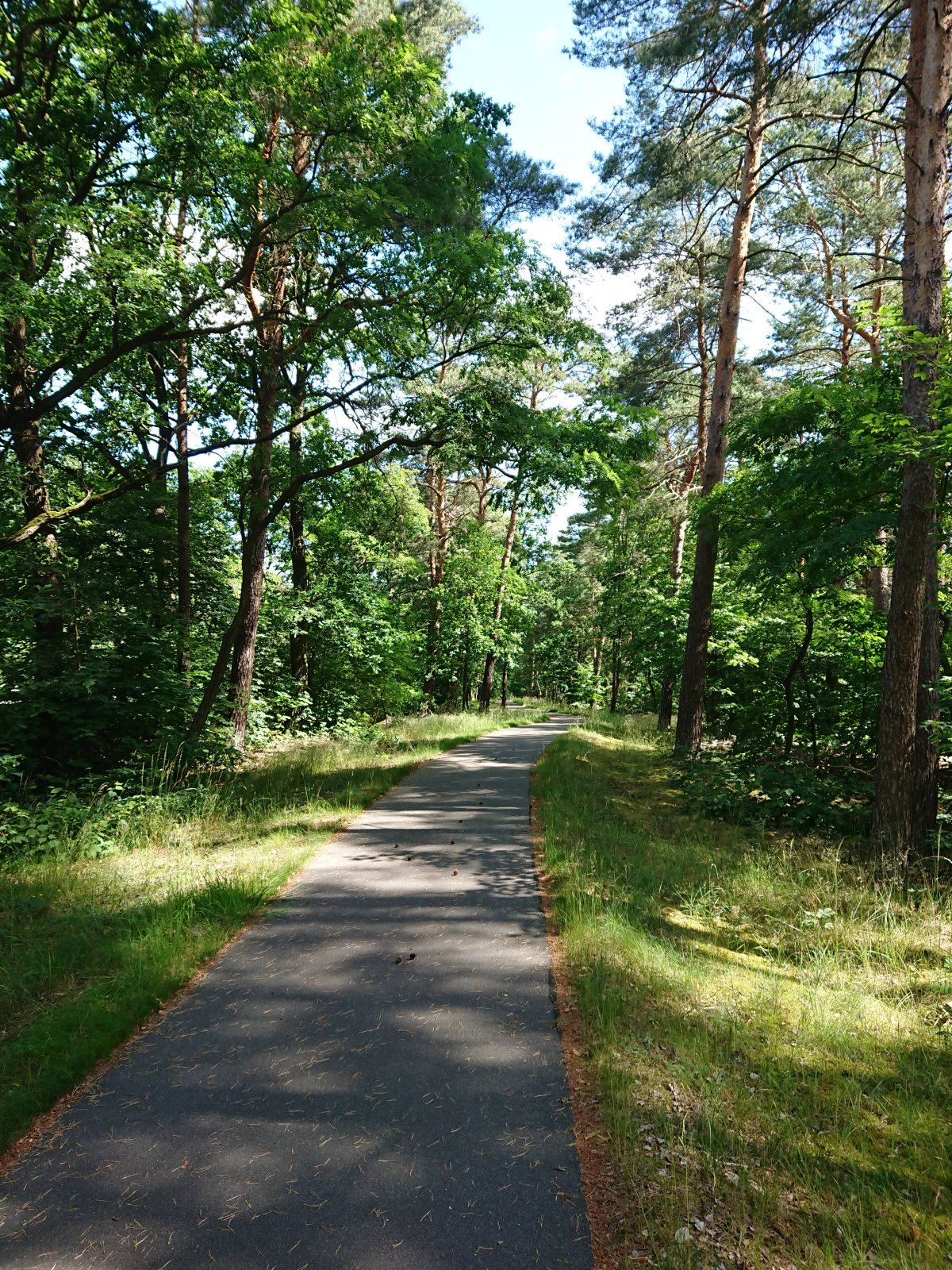 DSC_0336.JPG
