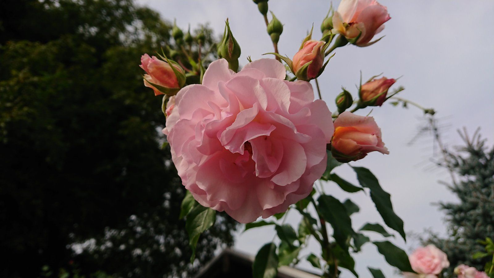 DSC_0343.JPG
