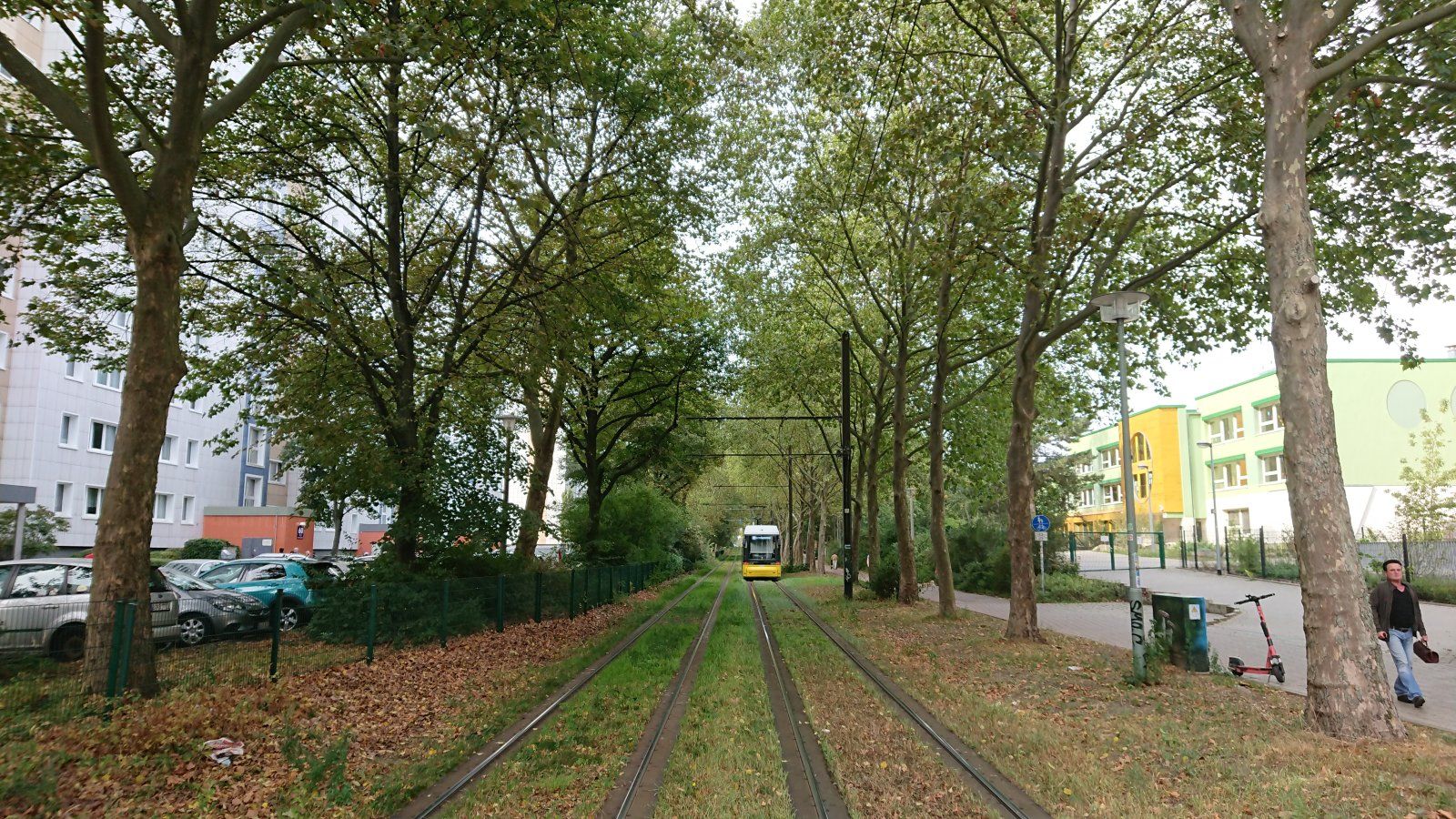 DSC_0351.JPG