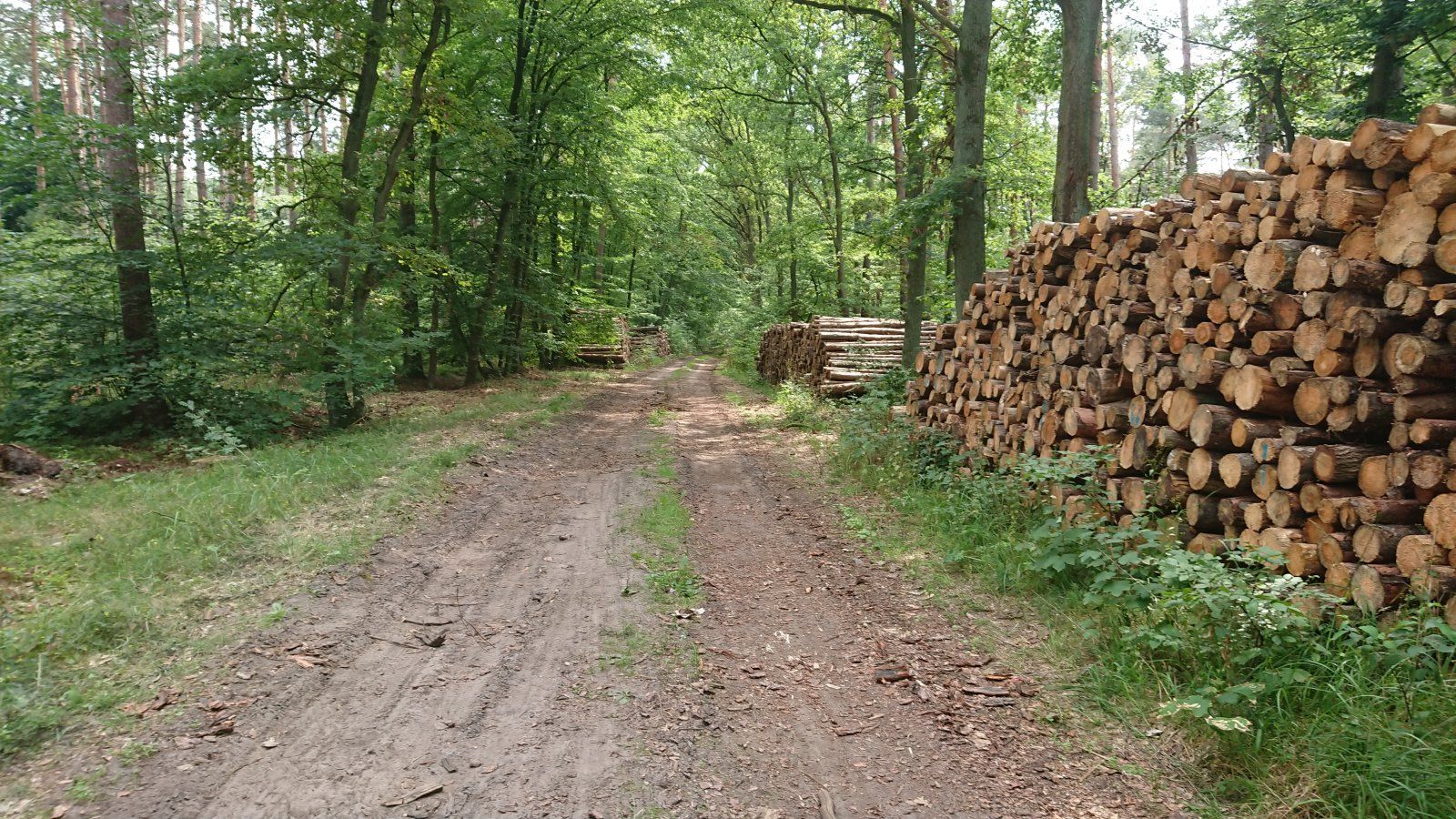 DSC_0354.JPG