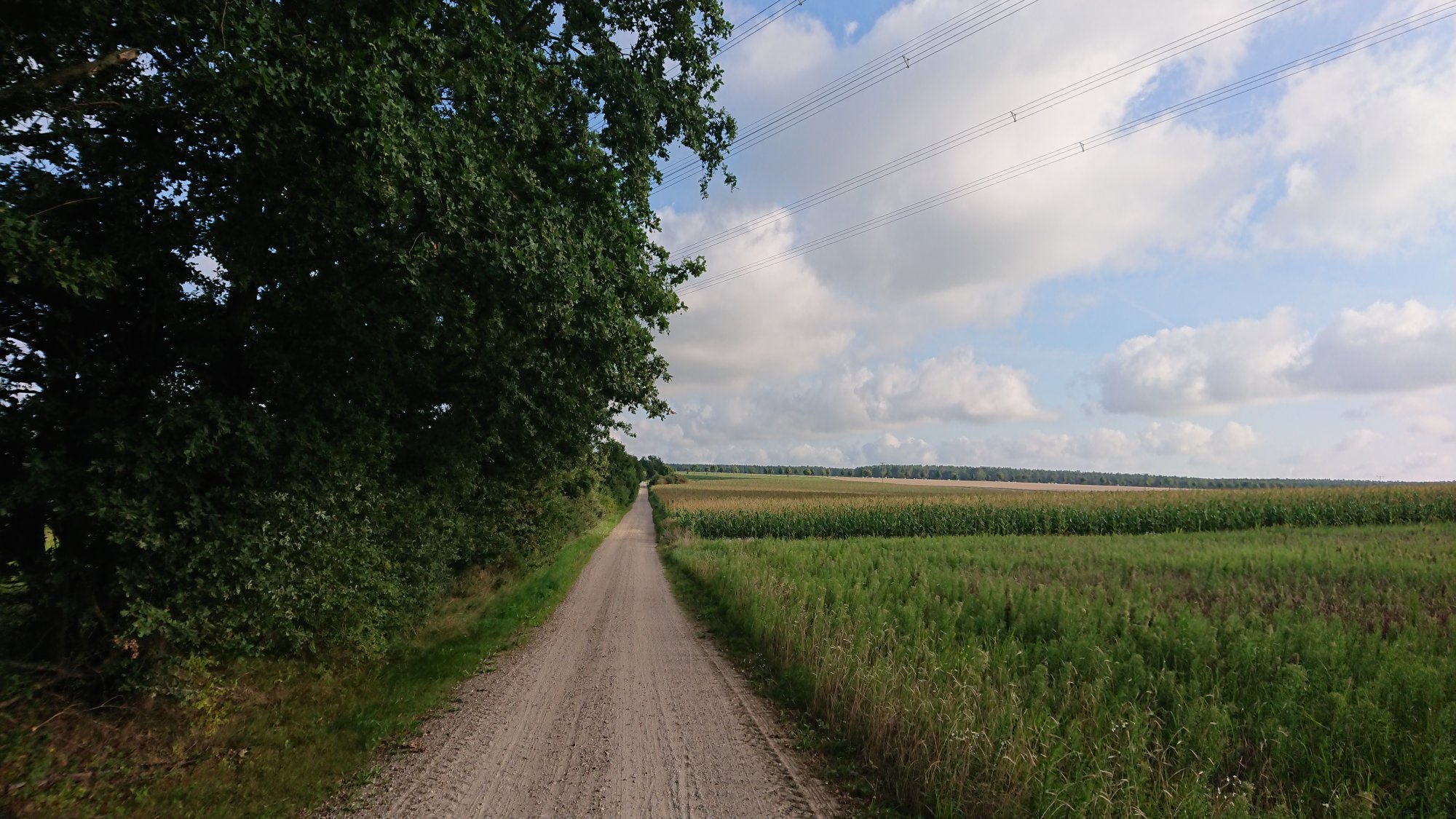DSC_0375.JPG