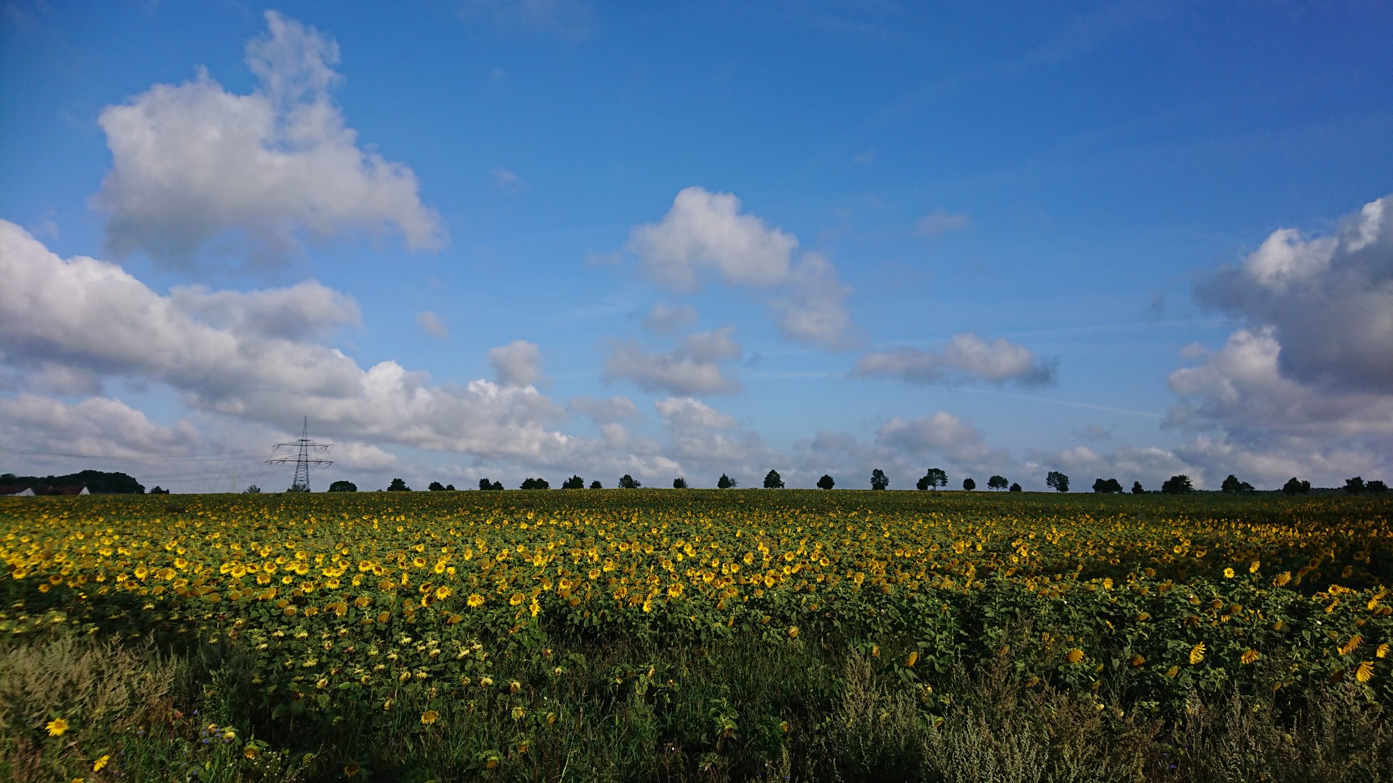 DSC_0376.JPG