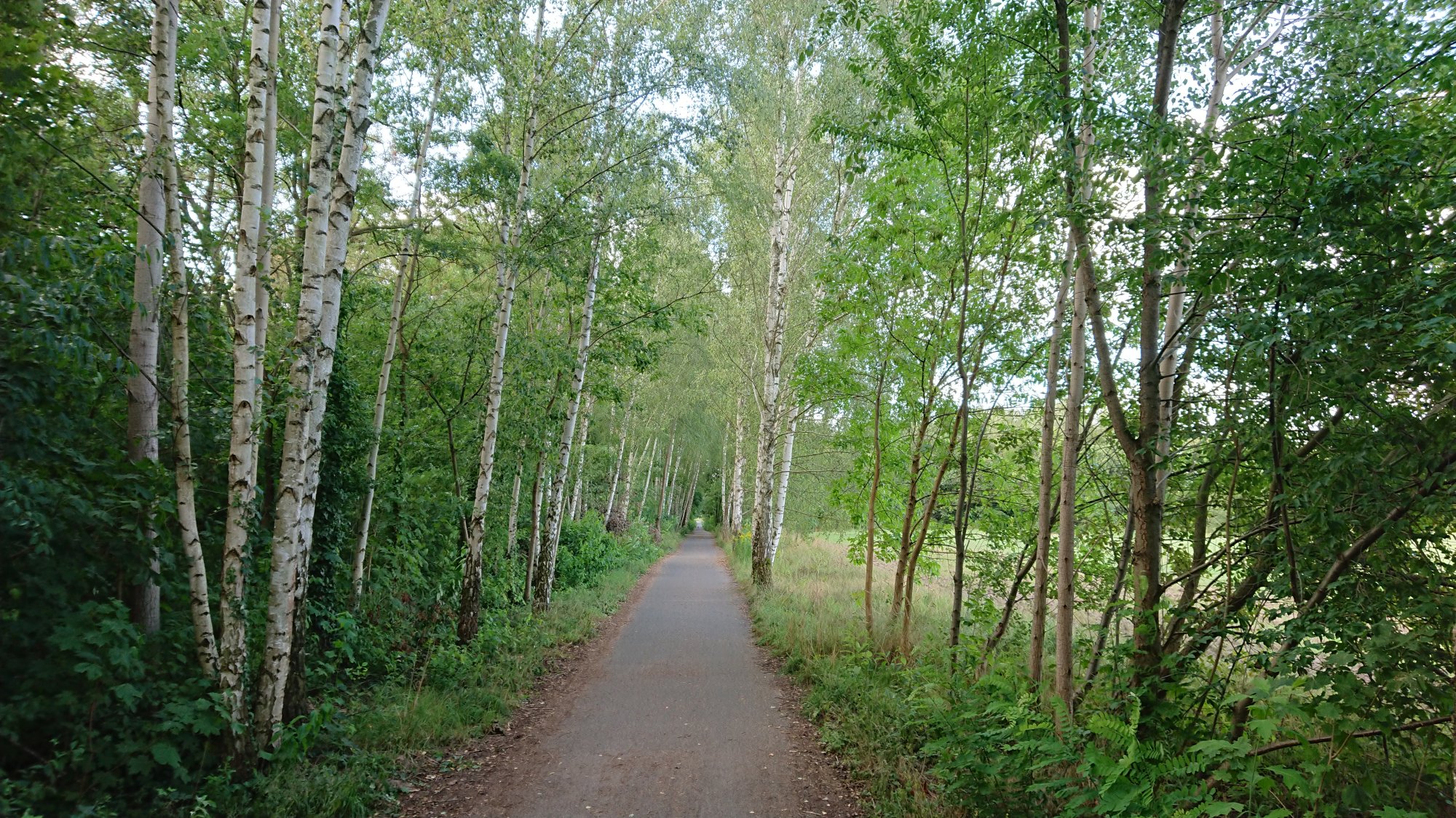 DSC_0400.JPG