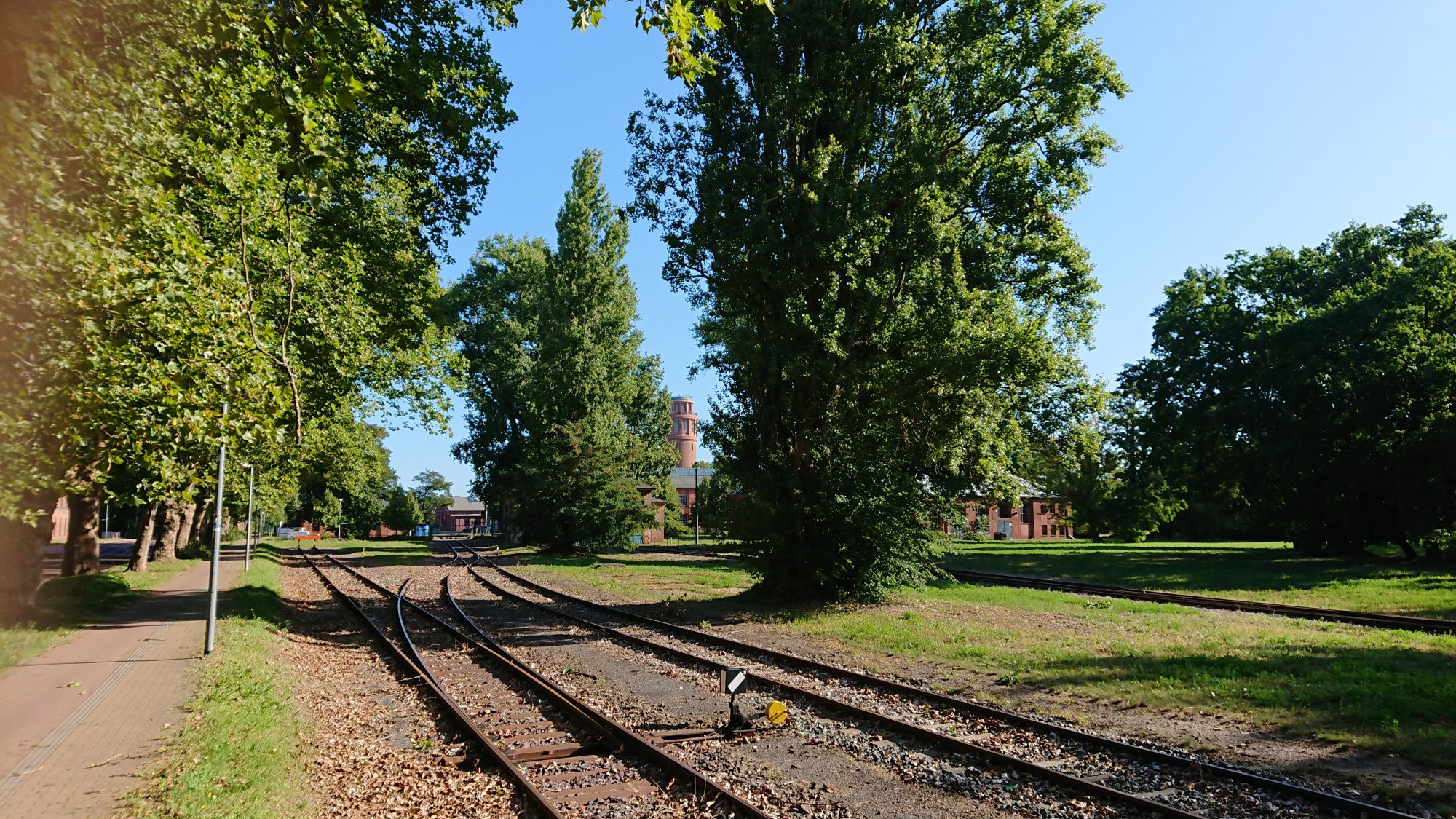 DSC_0413.JPG
