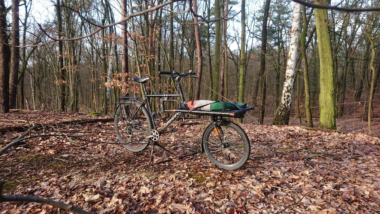 DSC_0422.JPG